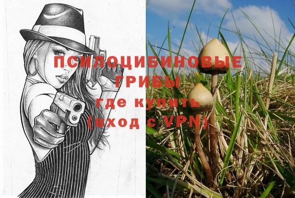 скорость Арсеньев
