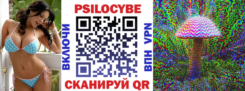 как найти закладки  Шлиссельбург  Галлюциногенные грибы Psilocybe 